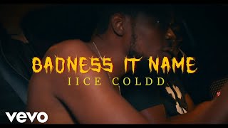 iice coldd  Badness it name Official Audio [upl. by Haronid224]