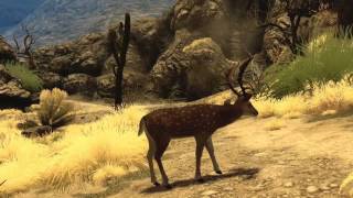 Cabelas Big Game Hunter 2010  long dev trailer [upl. by Bobbee17]