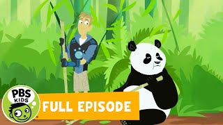 Wild Kratts FULL EPISODE  🐼 Panda Power Up 🐼 PBS KIDS [upl. by Pampuch]