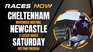 Cheltenham  Newcastle  Saturday Betting Preview  16th November  Horse Racing Tips [upl. by Doreen]