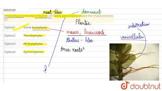 Multicellular branched rhizoids and leafy gametophytes are the characteristics of [upl. by Lemhaj936]