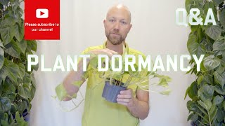 Plant Dormancy  why and how does it work [upl. by Norrv]