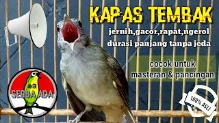 Masteran Suara Burung Kapas Tembak Gacor Pilihan Juri Senasional Durasi Panjang kapastembak [upl. by Aihsenat]