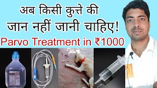 Parvo virus treatment in dog  By pomtoy anurag [upl. by Amal905]