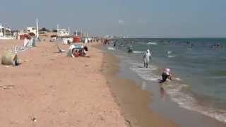 La plage de Raoued est fortement polluée [upl. by Marela]