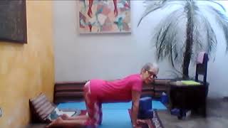 Ginger Hoovens Kamalesh Yoga Class Stability Focus April 24 [upl. by Nnoryt]