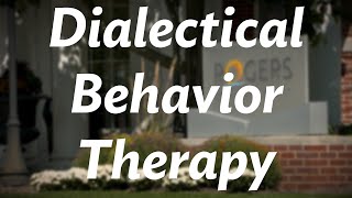 Rogers therapist gives an overview of Dialectical Behavior Therapy DBT [upl. by Dnomde]