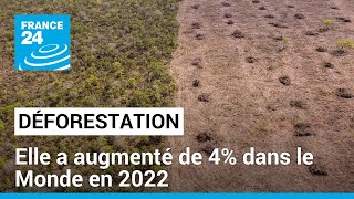 Déforestation Elle a augmenté de 4 dans le Monde en 2022 • FRANCE 24 [upl. by Kan]