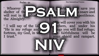 Psalm 91  New International Version NIV [upl. by Ozner]