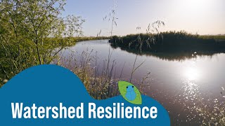 Watershed Resilience with Riparian Restoration [upl. by Nivonod]