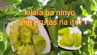 Star fruit Balimbing or Carambola ang tawag sa prutas na ito [upl. by Shakti147]