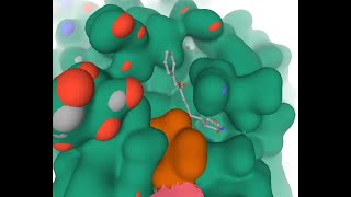 AutoDock Tutorial using covid19 latest protein structure as target [upl. by Ayihsa901]