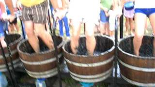 Lakeridge Winery Grape Stomping Competition [upl. by Enale]