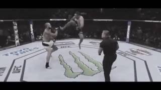 Fabricio Werdum Flying Kick Vs browne UFC 203 [upl. by Nichani96]