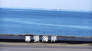 幕張海岸 [upl. by Ewall]