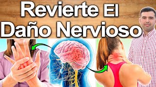 Signos Y Síntomas De Daño En Los Nervios  Cómo Saber Si Tienes Neuropatía O Daño Nervioso [upl. by Stefan]