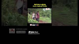 ഇതേ ലേഡി സ്പെഷ്യൽ അല്ല ബോഡി സ്പെഷ്യലാ youtubeshorts malayalam kpaclalitha remyanambeesan [upl. by Onailerua]