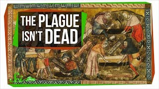 Could the Plague Rise Again [upl. by Selle755]