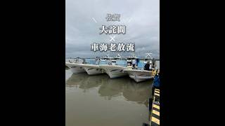 車海老放流  佐賀 有明海 大詫間 海苔 青年部 [upl. by Oiromed676]