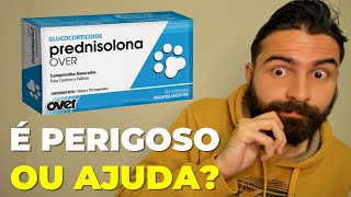 A Prednisolona Ajuda no Tratamento da FeLV [upl. by Euqinad]