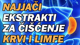 MOĆNI EKSTRAKTI ZA ČIŠĆENJE SLEZENE KRVI LIMFE Dr Mihajlović [upl. by Annoj]