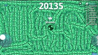 I Reached 21300 points in Snakeio 🐍 in the shortest possible time 🐍 Biggest snake in the Map [upl. by Markos18]