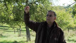 Wat is het enten van fruitbomen  Natuur en Zo [upl. by Follansbee]