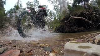 Crossing the Aberfeldy River Eaton Track with Lachie Jono and MrWiretap Billy Smith [upl. by Macario715]