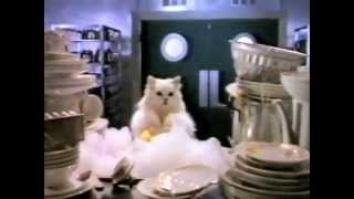 Gourmet Cat Food Commercial NZ [upl. by Orpah]