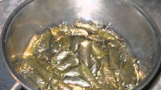 Moms Chaldean Dolma  Cooking Recipe  How to make The Best Stuffed Grape Leaves on Planet Earth [upl. by Sale784]