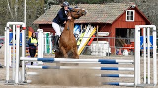 EQUESTRIAN FAILS FALLS AND MORE [upl. by Fleurette]