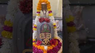 Sananda Manandavane Vasantm  Kashi Vishvnath Shiv Mantra kashivishwanath tanvisenjaliya kashi [upl. by Zipah]