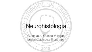 Histología Sistema Nervioso [upl. by Corene]