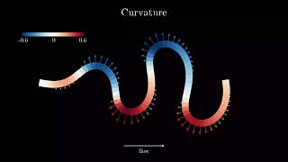 Animation showing the distribution of curvature and migration rate along meander rivers [upl. by Alehc]