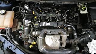 Engine noise Ford Focus 16 TDCI [upl. by Jerald]