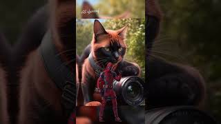 Marvel cat [upl. by Nitas950]