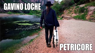 Gavino Loche  Petricore Solo Version [upl. by Artur]