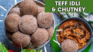 Teff Idli amp Andhra Chutney Recipe  Protein Rich No Rice Idli [upl. by Oirrad968]