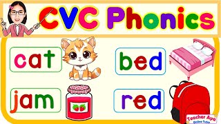 CVC Phonics  Words and Sentences  English Reading Practice for kids  Compilation [upl. by Dukey]