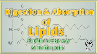 Digestion and absorption of Lipids  Biochemistry  Mirha Coaching Academy [upl. by Callery]