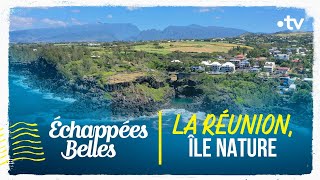 La Réunion île nature  Échappées belles [upl. by Anya456]