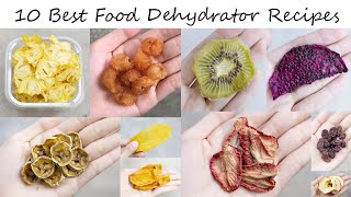 10 Best Food Dehydrator Recipes You Will Want to Try [upl. by Nipsirc]