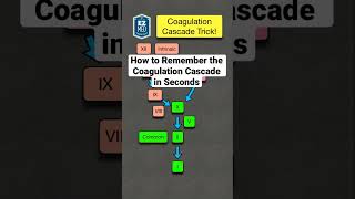 How to Remember the Coagulation Cascade in Seconds Pathway Made Easy [upl. by Gannes16]