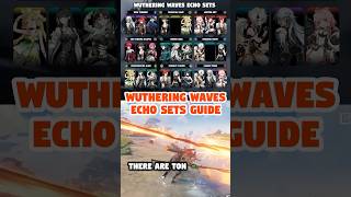 EVERY WUTHERING WAVES ECHO SET GUIDE [upl. by Iover]