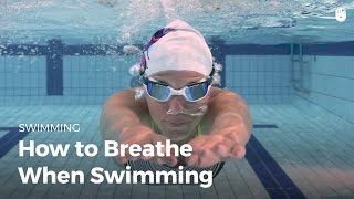 How to Breathe When Swimming  Fear of Water [upl. by Enalahs336]