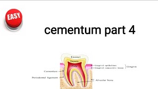 cementum part 4 [upl. by Lugo]