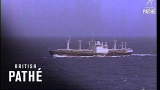 Cargo Ship At Sea 1964 [upl. by Peery]