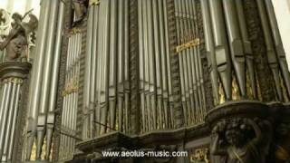 Widor  quotMattheusFinalquot from quotBachs Mementoquot played by Peter Van de Velde Antwerp Cathedral [upl. by Leigha]