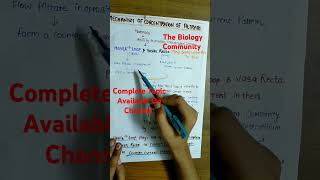 COUNTER CURRENT MECHANISM INTRODUCTION excretoryproductsamptheireliminationclass11neetshortsviral [upl. by Jollenta957]