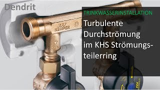 Turbulente Durchströmung in der VenturiströmungsteilerRingleitung [upl. by Nitsoj]